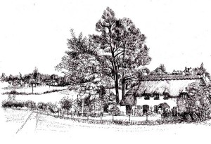Little Iddens and Oldfields, illustration by Barbara Davis
